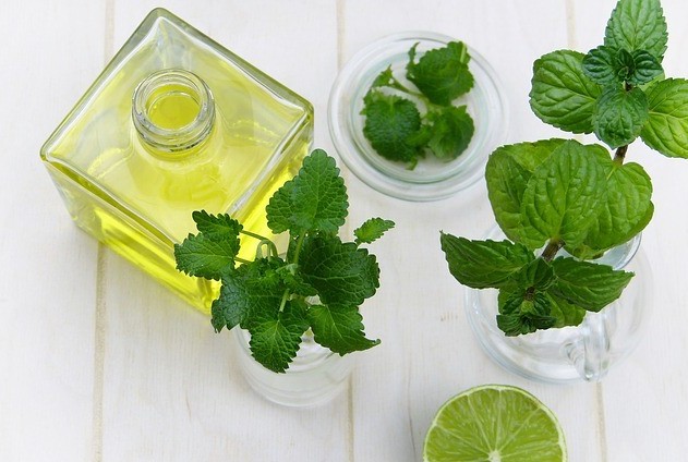 the essential oils of greece